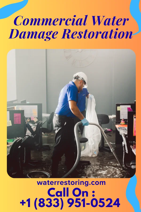 Commercial Water Damage Restoration in Beech Mountain, NC